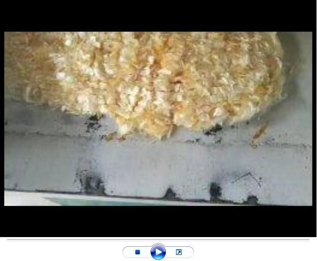 點(diǎn)擊查看詳細(xì)信息<br>標(biāo)題：聚丙烯腈纖維生產(chǎn)中【視頻】 閱讀次數(shù)：2805