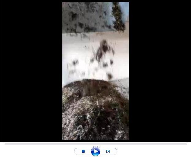 點(diǎn)擊查看詳細(xì)信息<br>標(biāo)題：玄武巖纖維生產(chǎn)中【視頻】 閱讀次數(shù)：2715